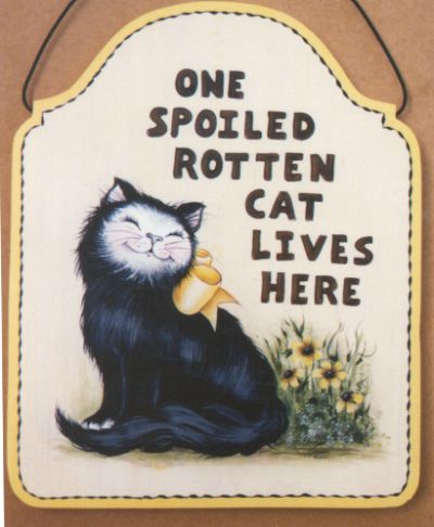 One Spoiled Cat