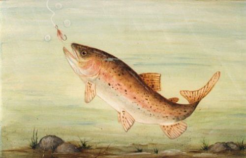 Rainbow Trout
