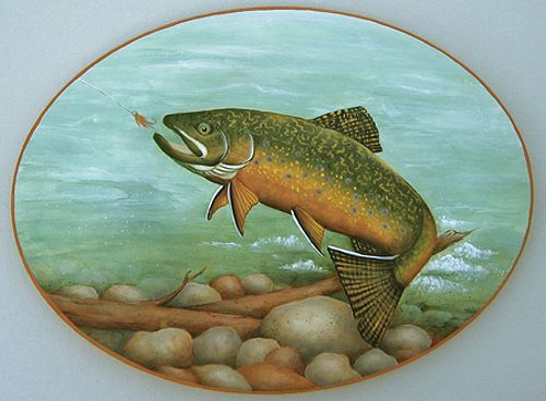 Brook Trout