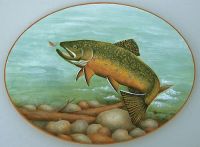 Brook Trout