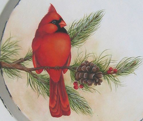 Northern Cardinal