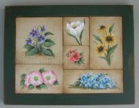 Wild Flower Sampler