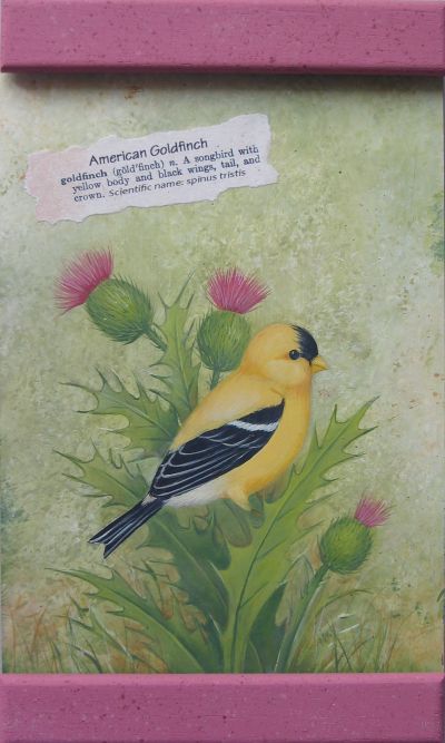 American Goldfinch