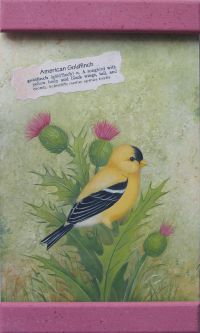 American Goldfinch