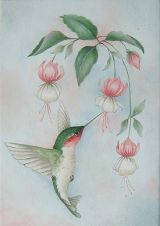 Ruby-Throated Hummingbird E-packet