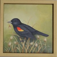 Red-wing Blackbird