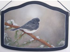 Dark-Eyed Junco