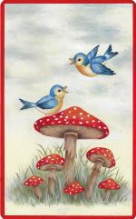 Bird's Eye View -E-Packet