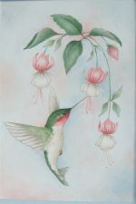 Ruby-Throated Hummingbird