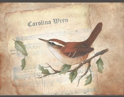 Carolina Wren